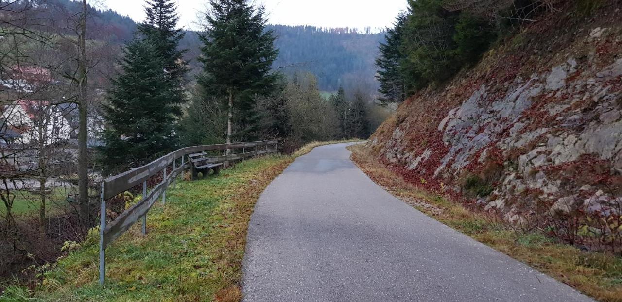 Ferienwohnung "Hirschlein" Im Schwarzwald Baiersbronn Kültér fotó