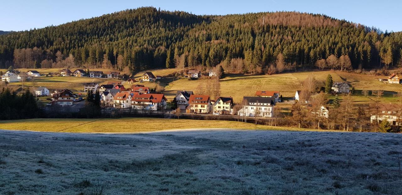Ferienwohnung "Hirschlein" Im Schwarzwald Baiersbronn Kültér fotó