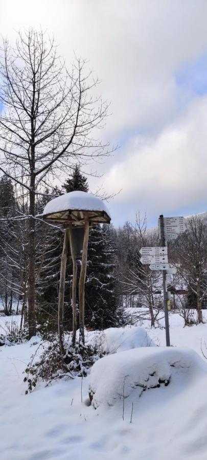Ferienwohnung "Hirschlein" Im Schwarzwald Baiersbronn Kültér fotó