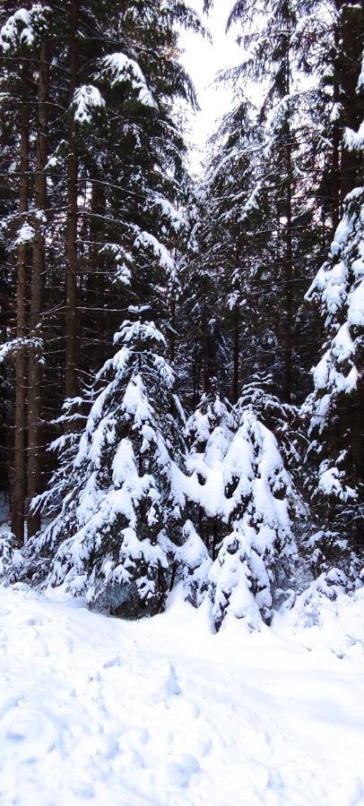 Ferienwohnung "Hirschlein" Im Schwarzwald Baiersbronn Kültér fotó