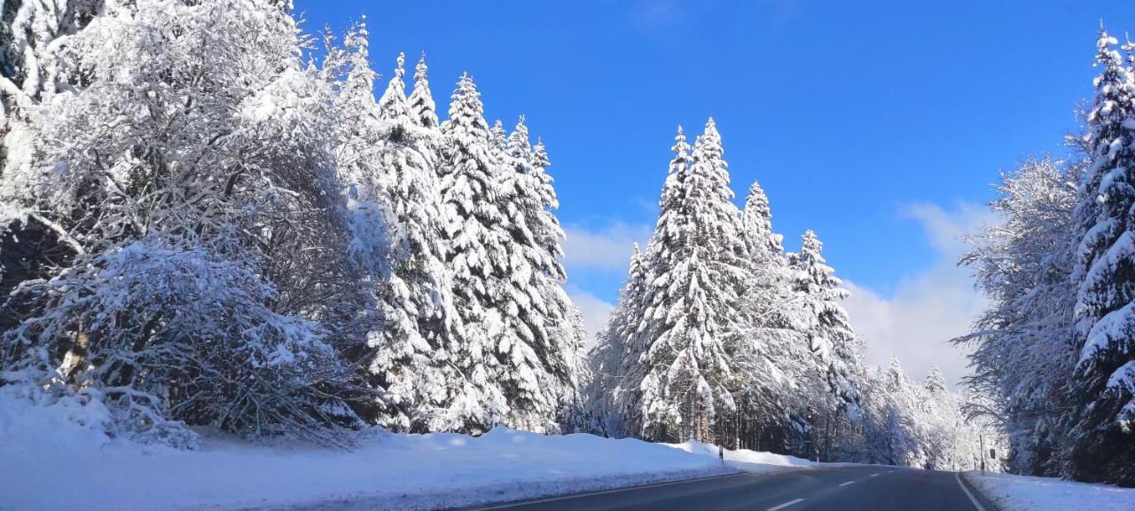 Ferienwohnung "Hirschlein" Im Schwarzwald Baiersbronn Kültér fotó