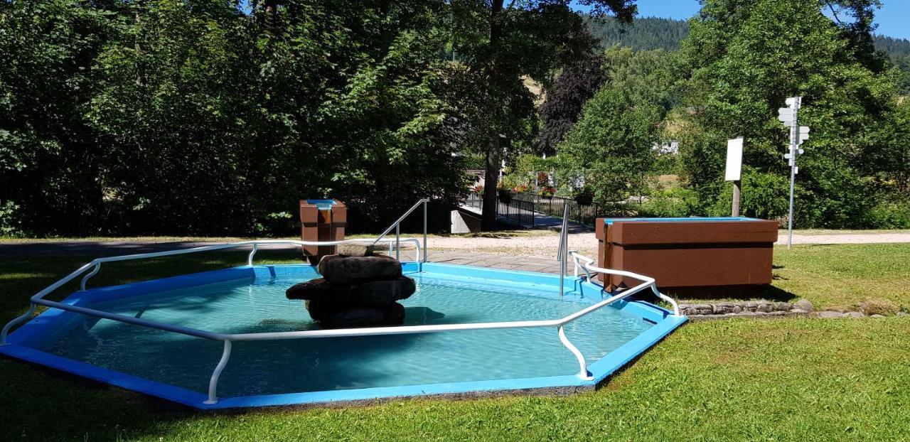 Ferienwohnung "Hirschlein" Im Schwarzwald Baiersbronn Kültér fotó
