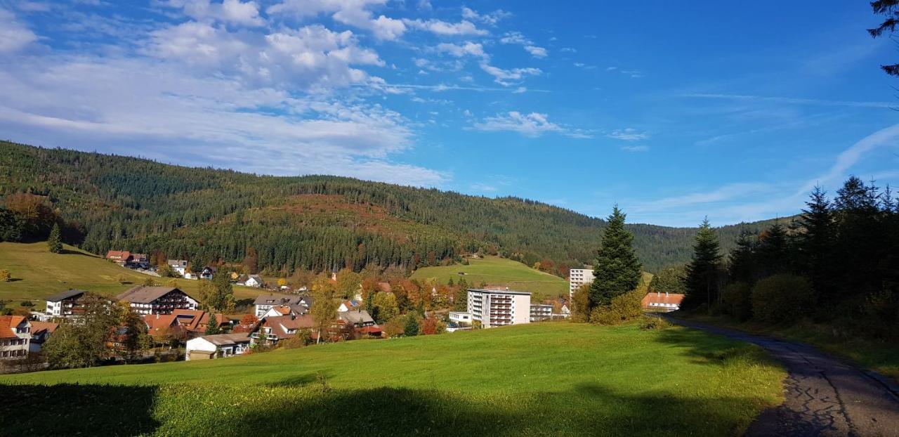 Ferienwohnung "Hirschlein" Im Schwarzwald Baiersbronn Kültér fotó