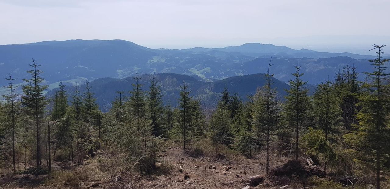 Ferienwohnung "Hirschlein" Im Schwarzwald Baiersbronn Kültér fotó